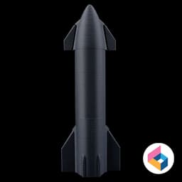 SpaceX- Starship Cargo 3d model