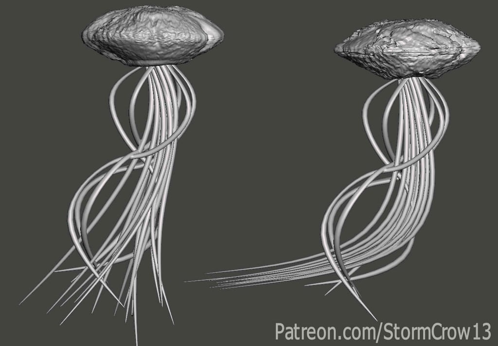 Gomazoa 3d model