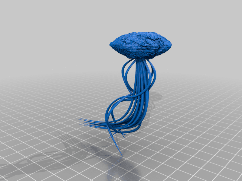 Gomazoa 3d model