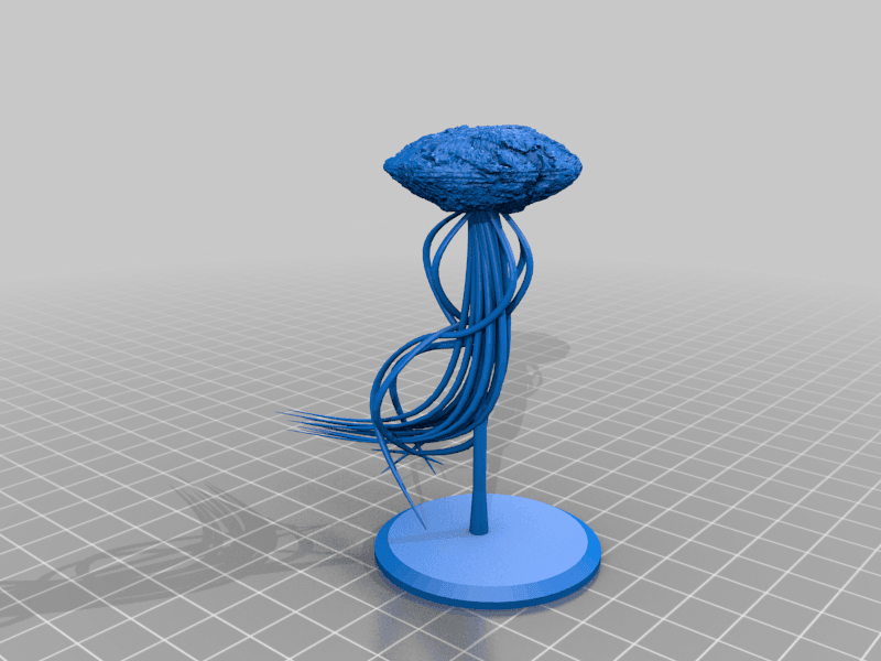 Gomazoa 3d model