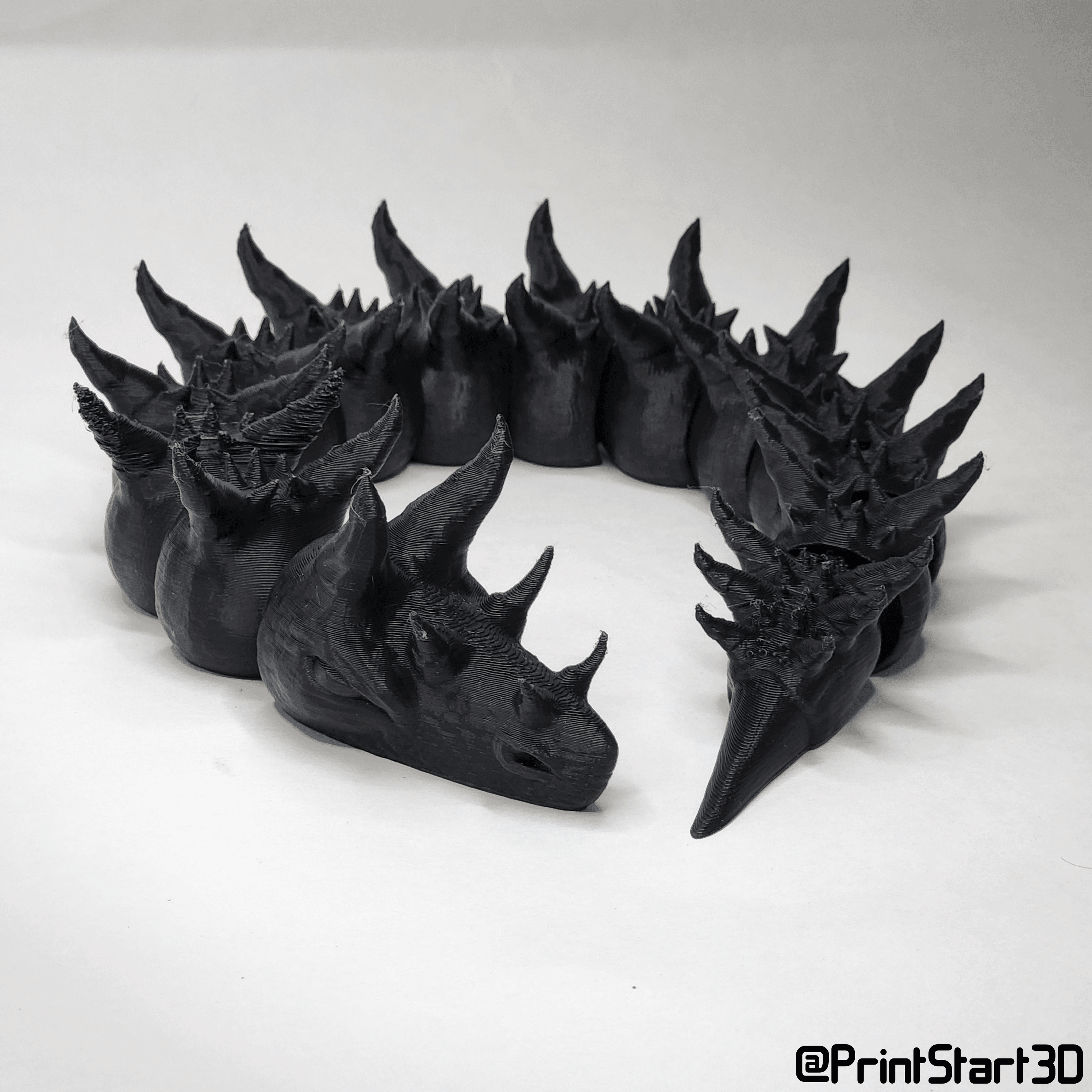 SpikeySnake - PrintStart3D.stl 3d model