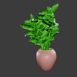 Potted Plant 3d model