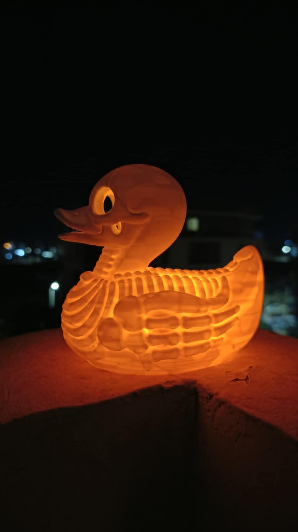 Duck Skeleton Lampshade 3d model