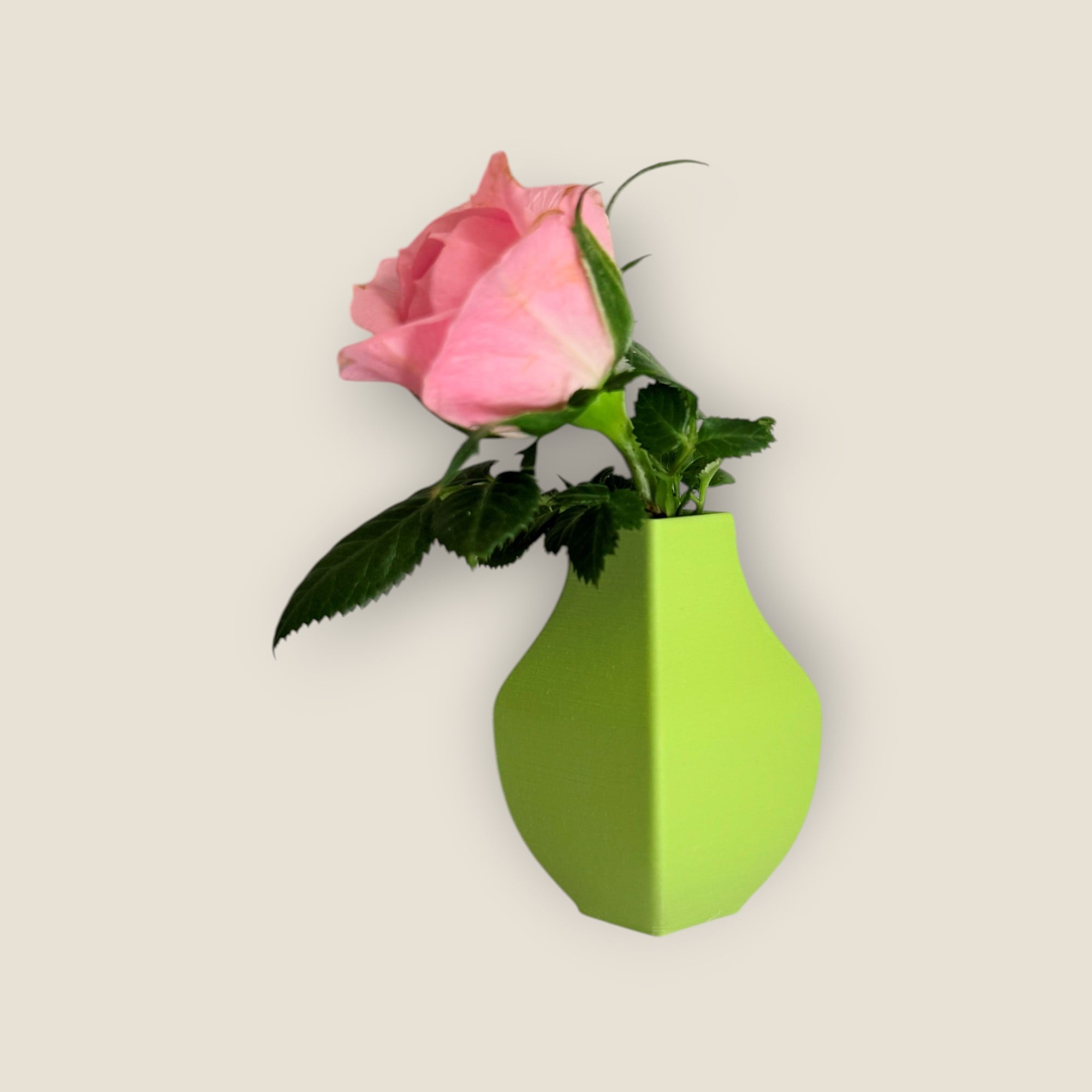 Tiny Magnet Vase Set 3d model