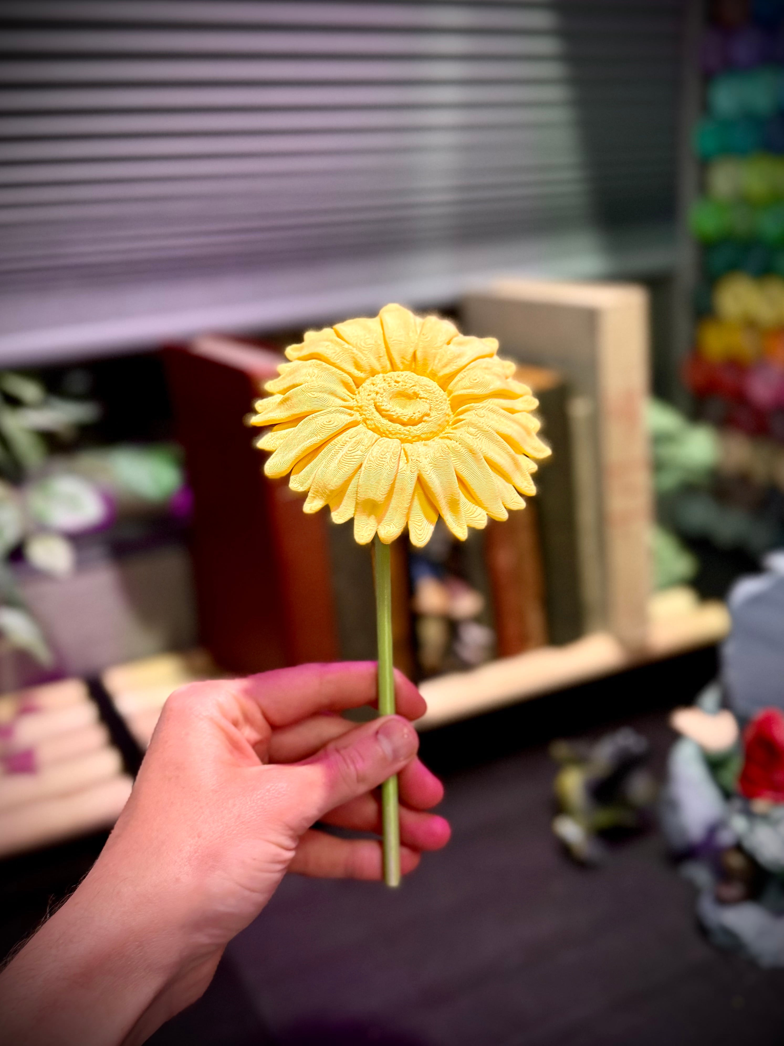 Sunflower 3d model