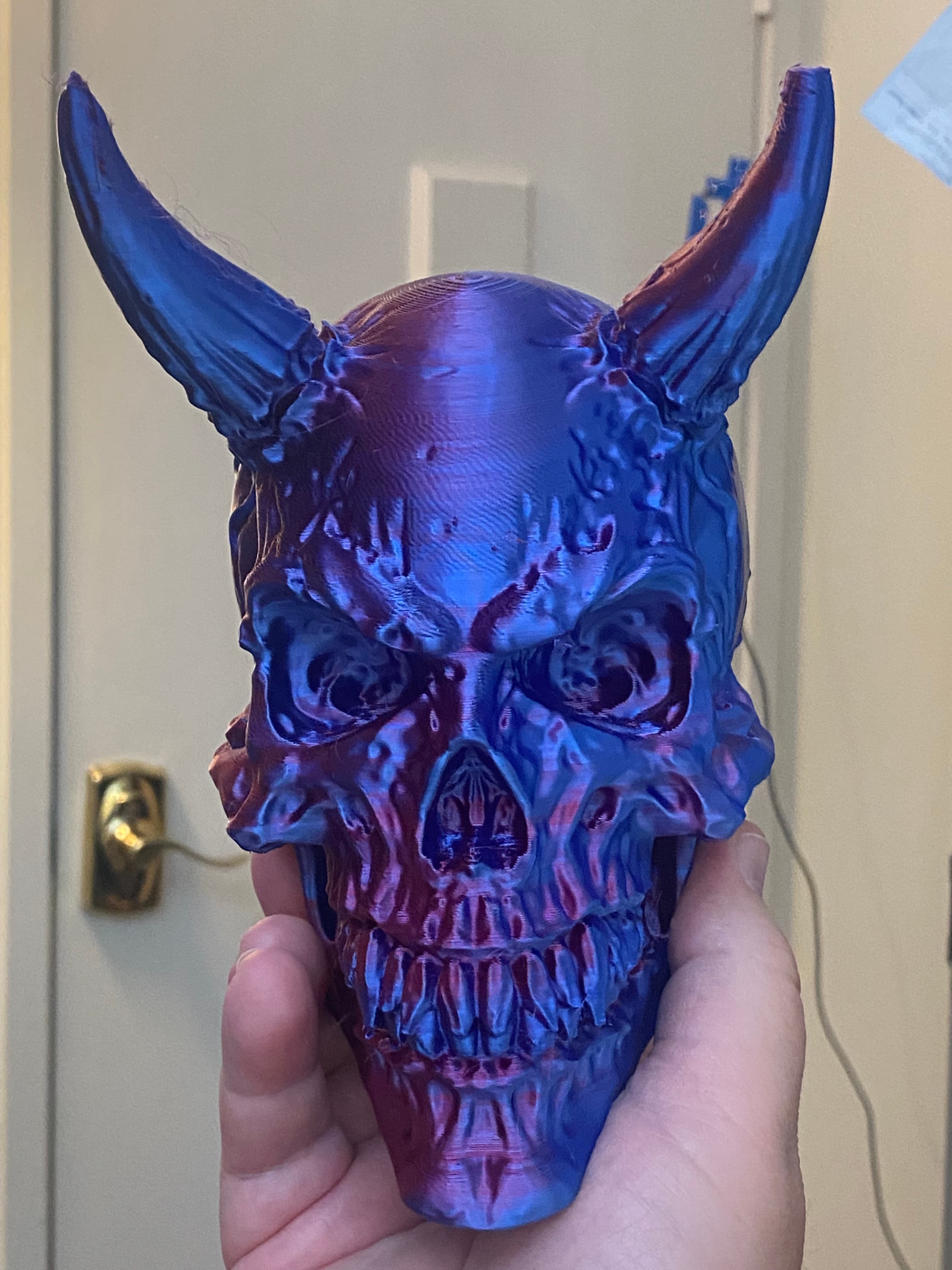 Lost a tip of one of the horns, but still came out looking great