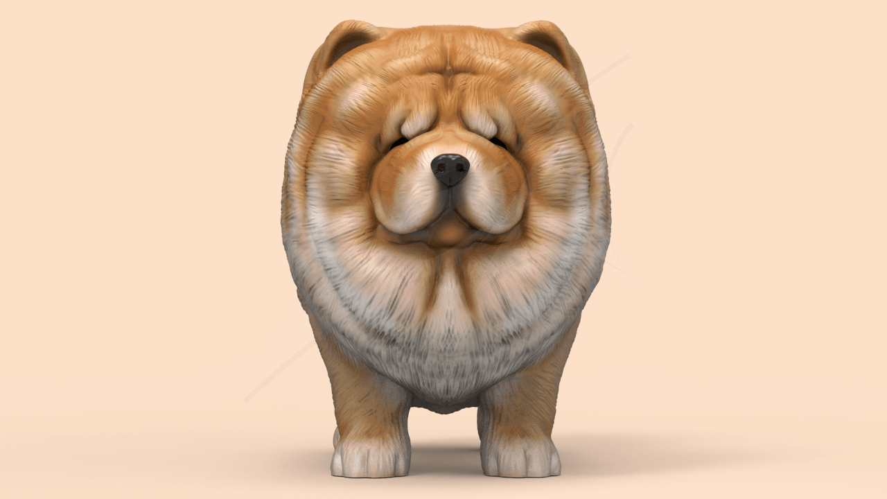 Cute ChowChow 3d model