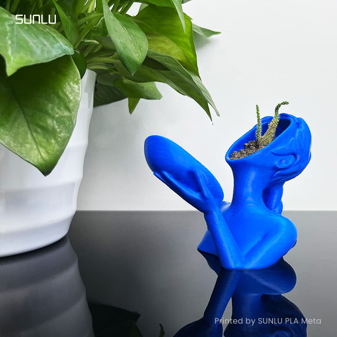 Flowerpot_SUNLU 3d model