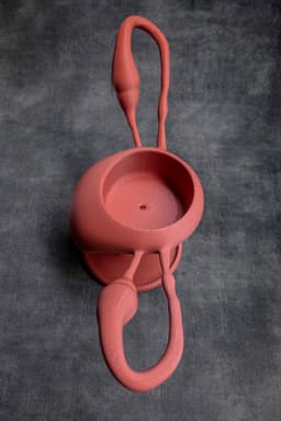 Uterus Pot (Pre Supported) 3d model