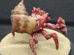 Giant Hermit Crab Miniature 3d model