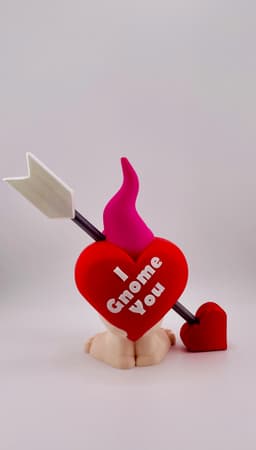 Heart with Arrow Costume Gnome 3d model