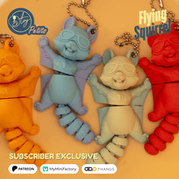 FlyingSquirrel.3mf 3d model