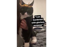 Lady Loki Cat Ears 3d model