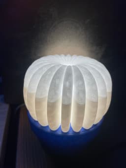 barrel cactus lamp 3d model