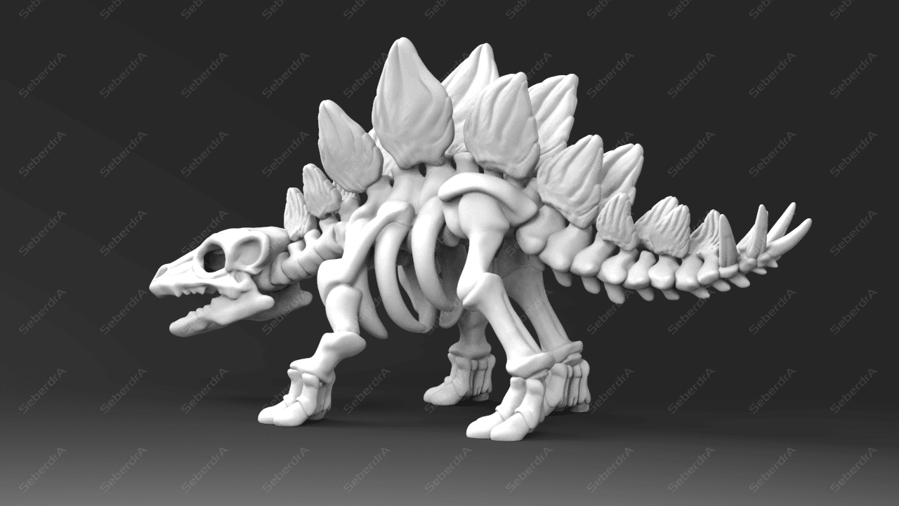 Stegosaurus Skeleton 3d model