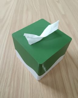 Blowing Skirt Small Tissue Box 3d model
