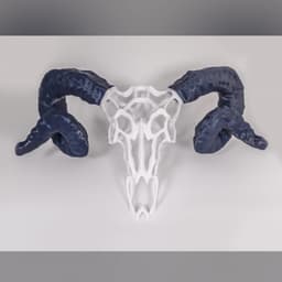 Wire Skull // Ram 3d model