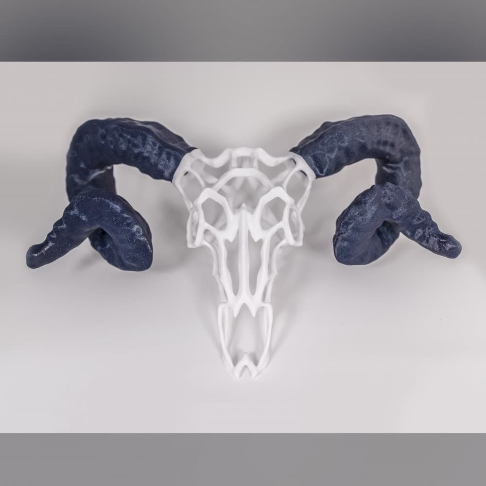 Wire Skull // Ram 3d model
