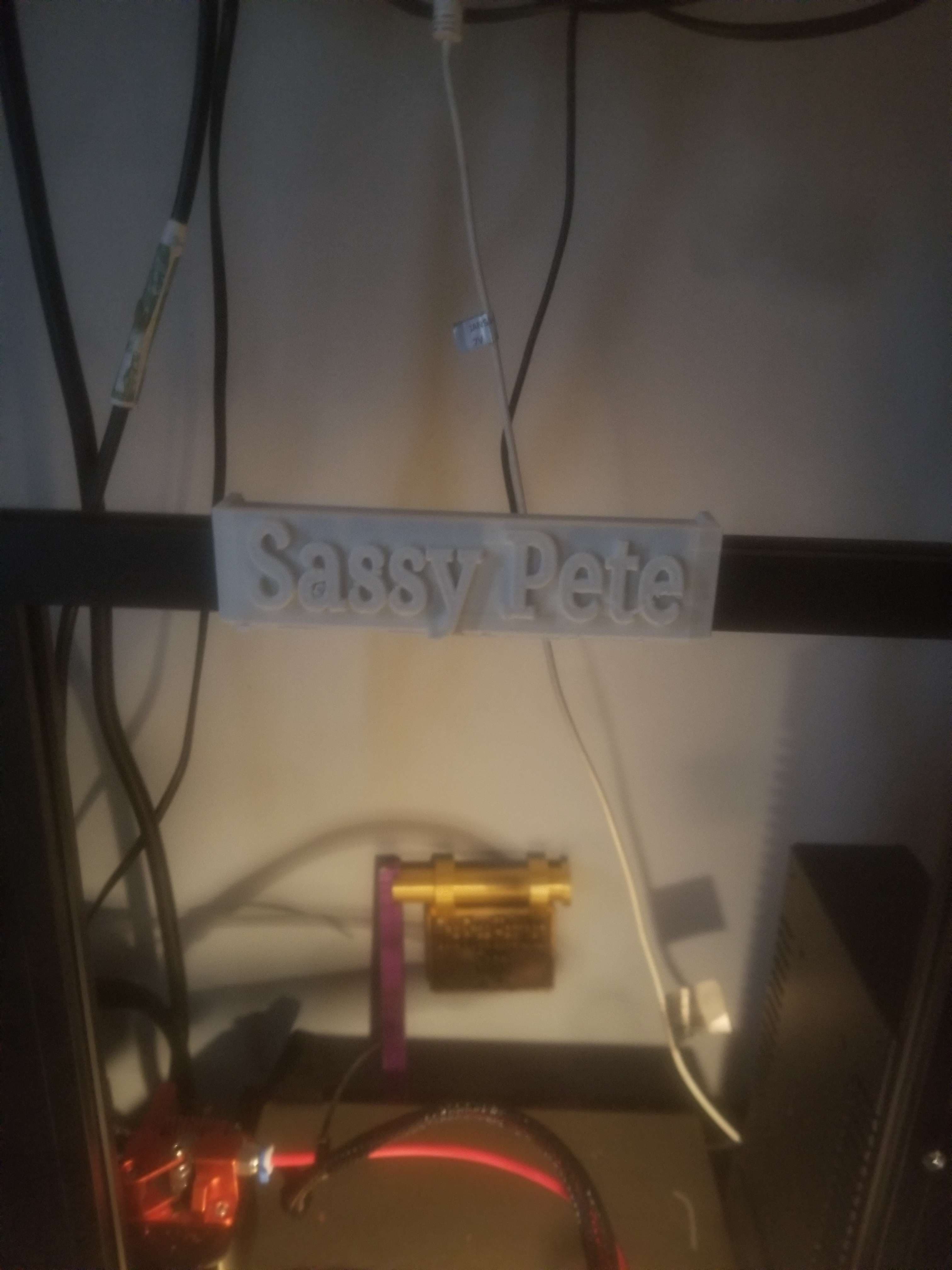 FHW: Sassy Pete Name 3d model