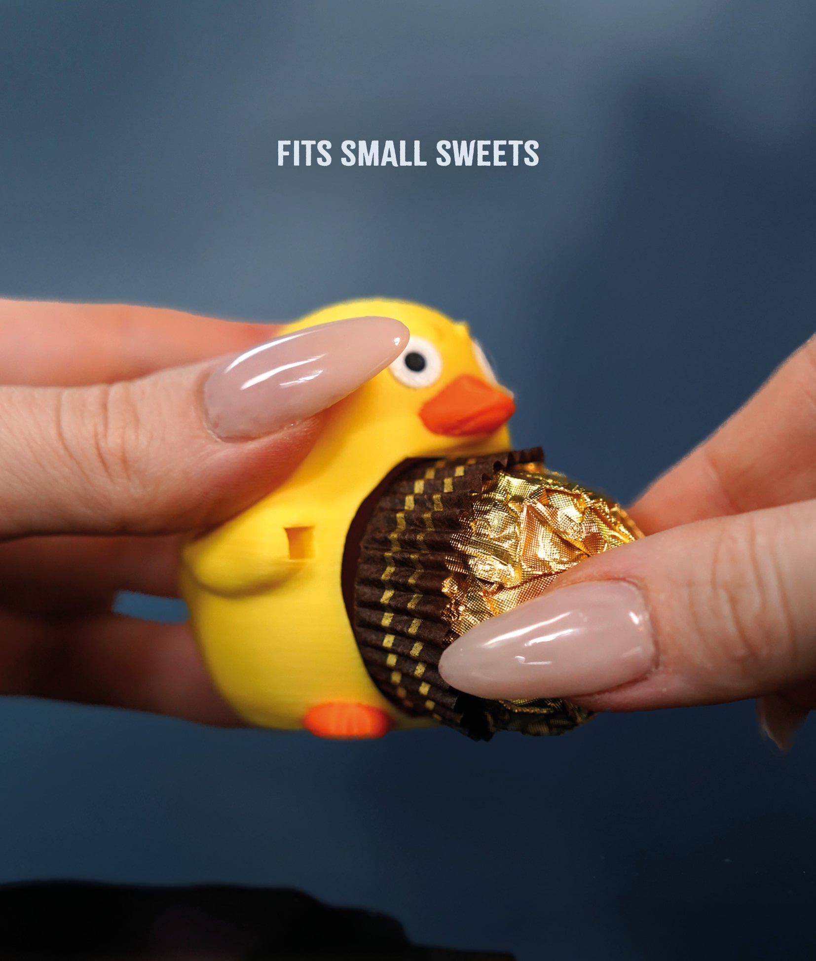 Chonkers Duck 3d model