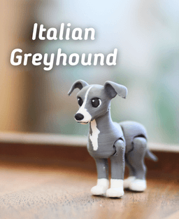 Italian Greyhound - Articulated Fidget Dog 3d model