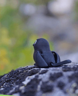 Ravenous Raven - Articulated Fidget Raven - Ludo Animal 3d model