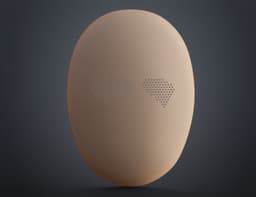 Slay the Spire Merchant Mask 3d model