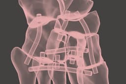 Full Size Anatomically Correct Human Foot Model 3d model