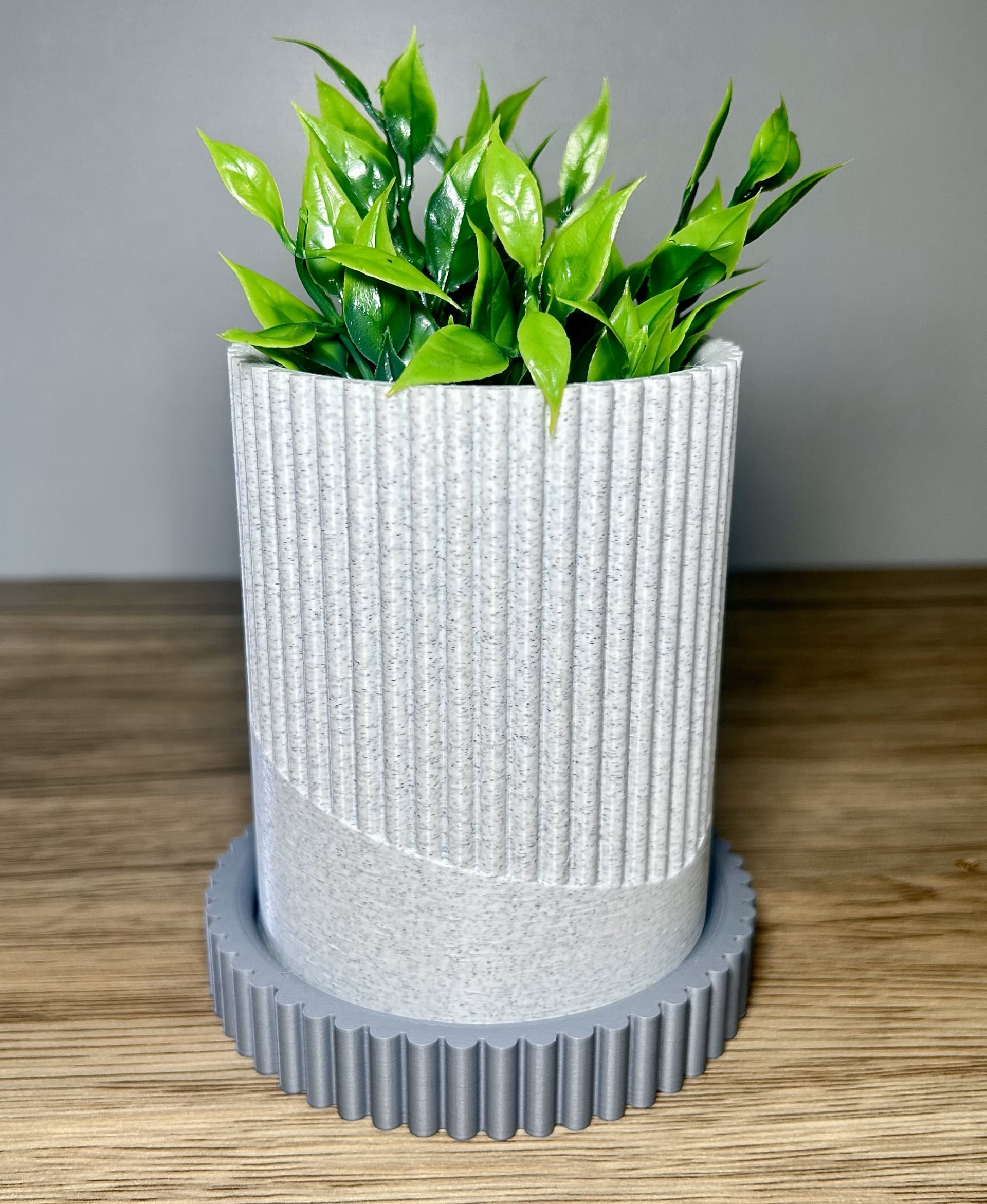 Modern Planter with Removable Drip Tray 3d model