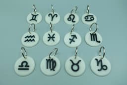 Zodiac Sign Keychains 3d model