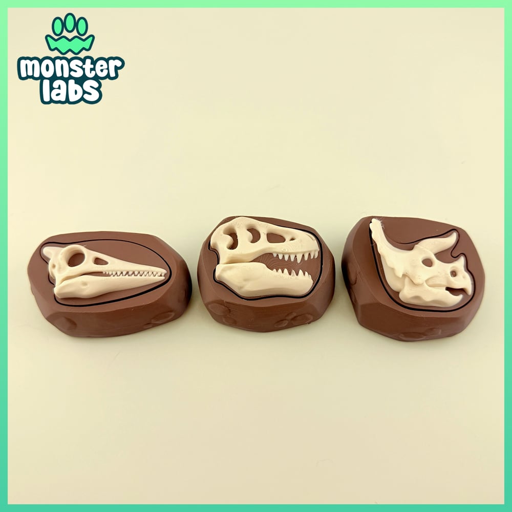 Dino Fossil Fidget Clicker Keychain Bundle 3d model