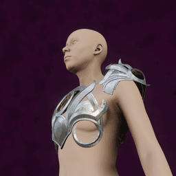 SHADOWHEART ARMOR BALDURS GATE 3 3d model