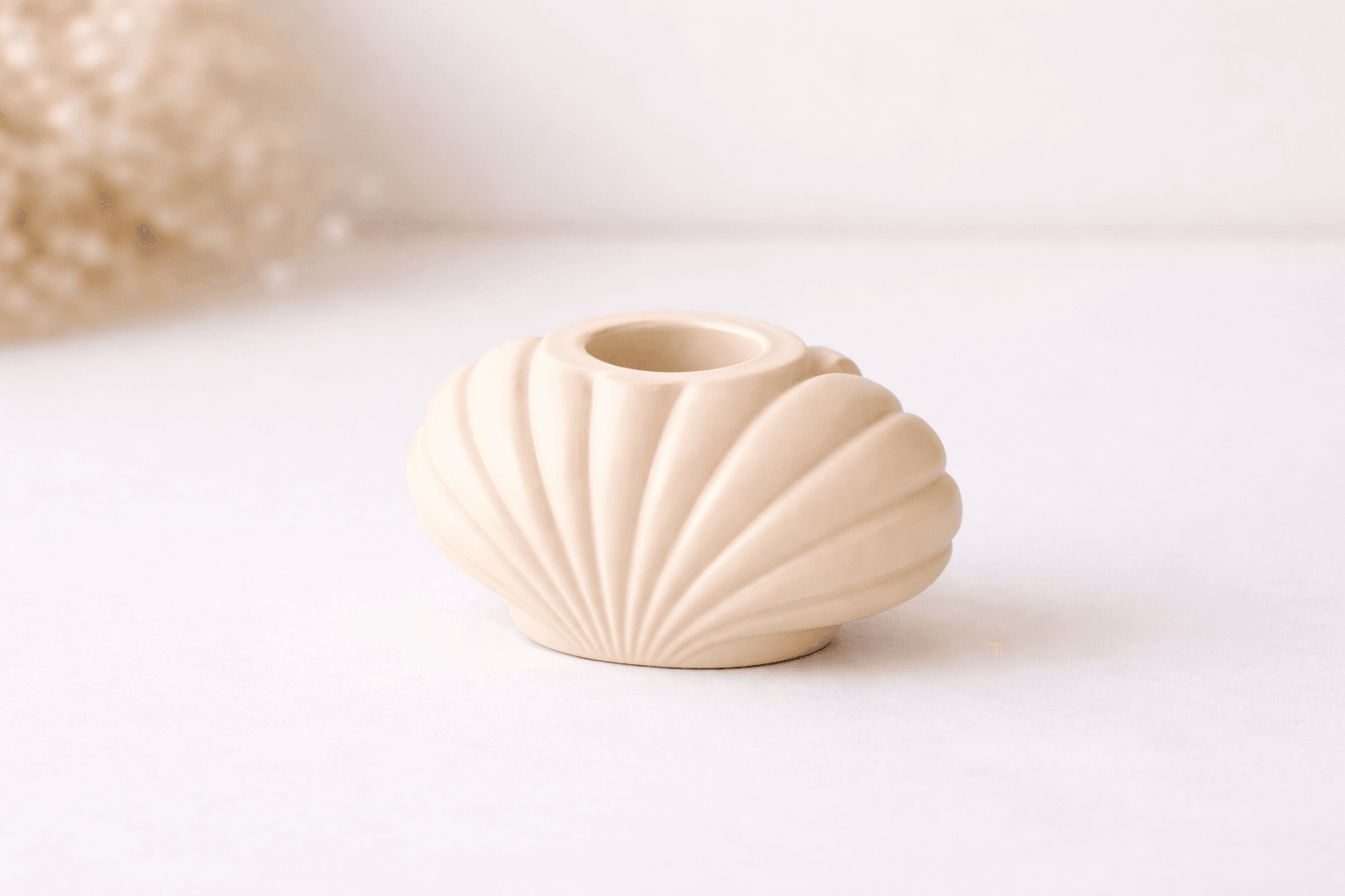 Mini Sea Shell STL.stl 3d model