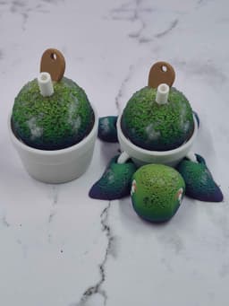 Snow Cone Turtles - Clicky - Non Clicky - Snow Cone Clicker 3d model