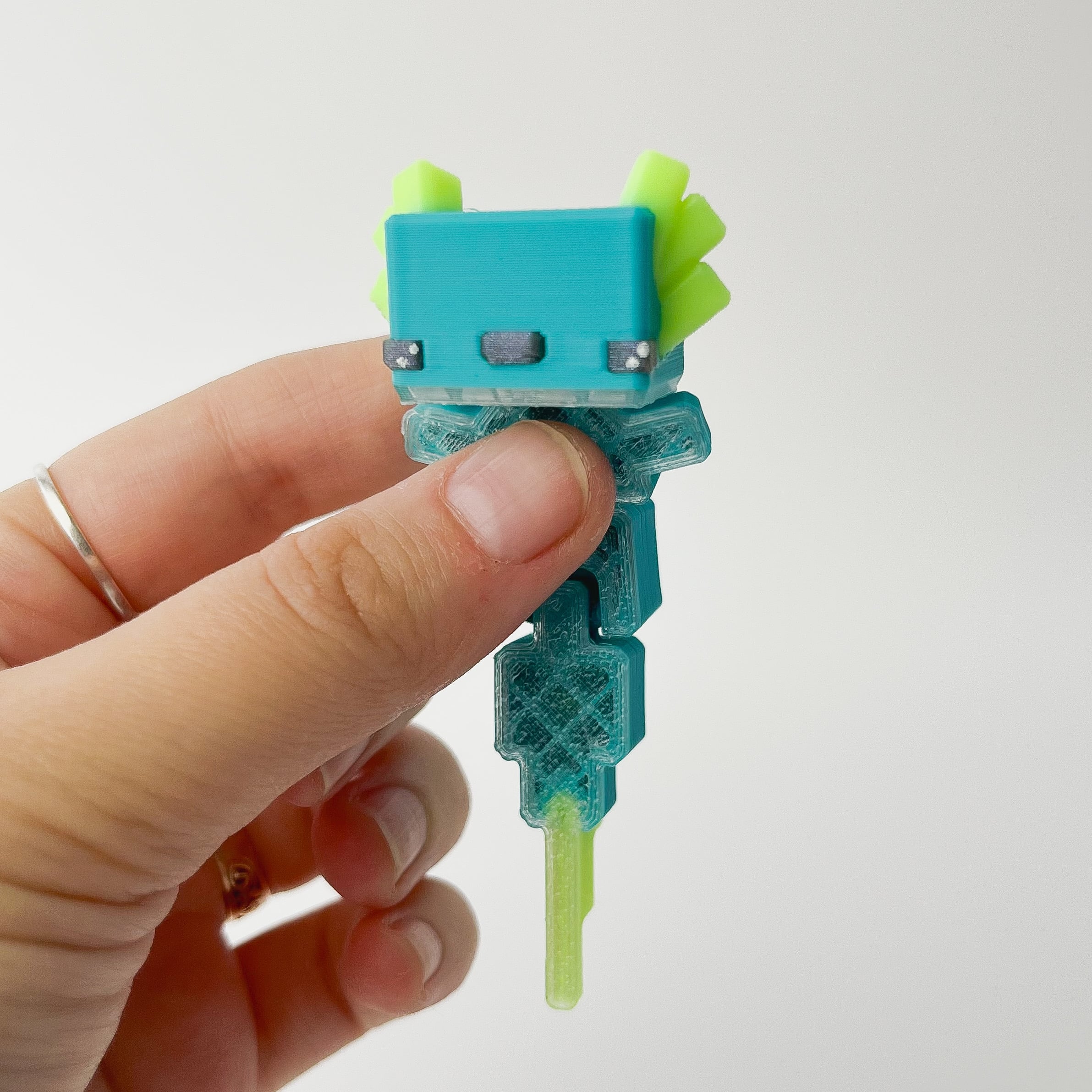 Bloxlotl Flexi 3d model