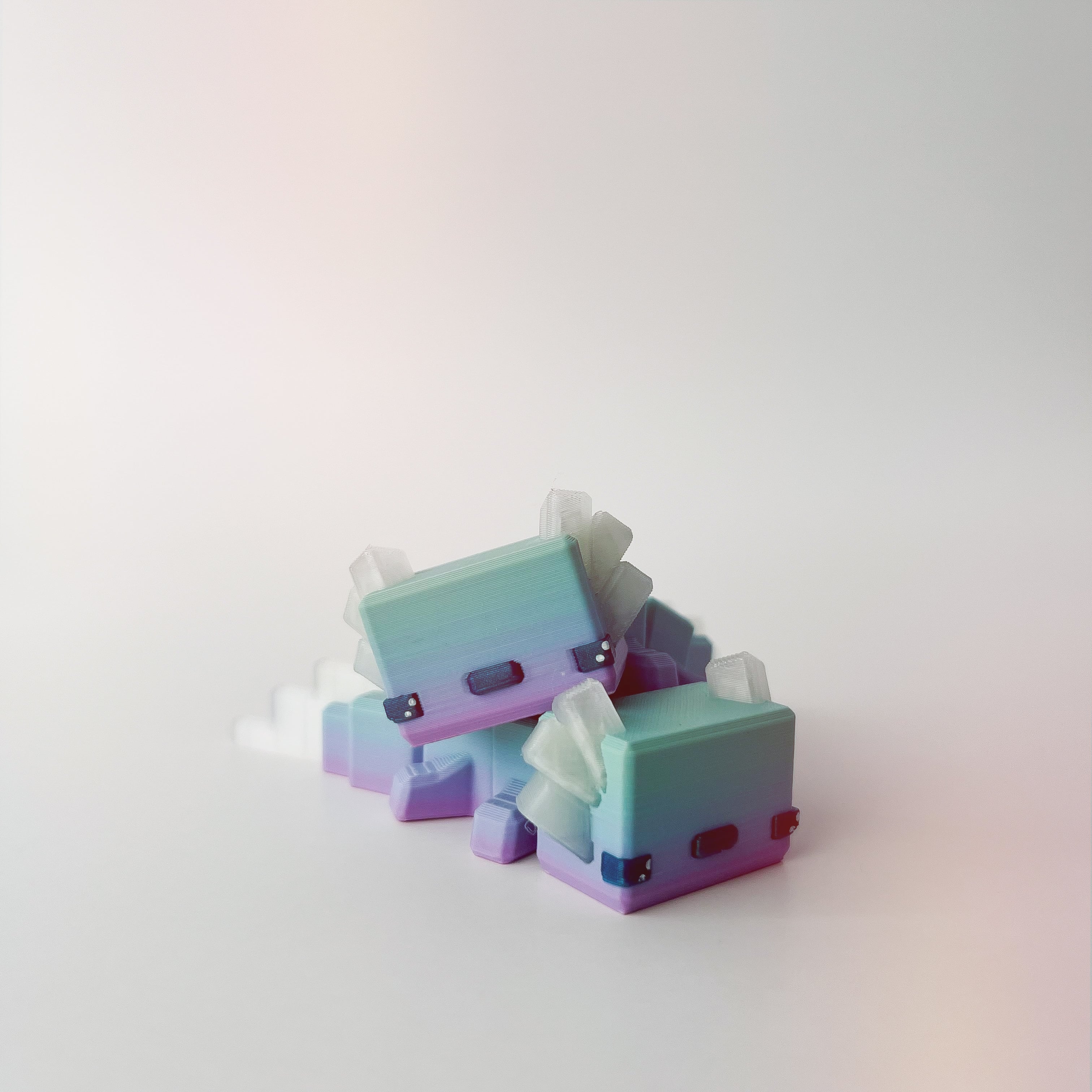 Bloxlotl Flexi 3d model
