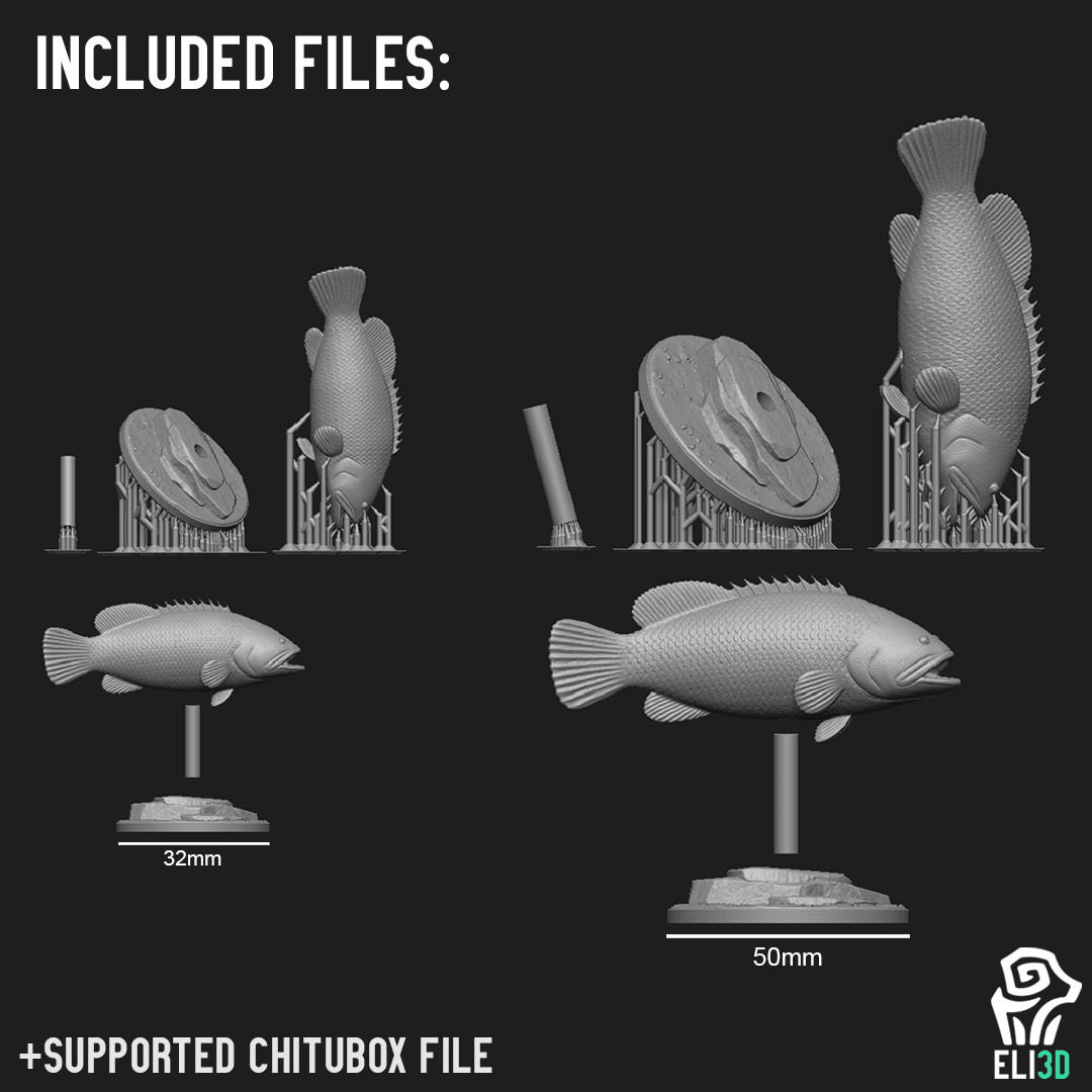 Animals - Ocean Wildlife 3d model