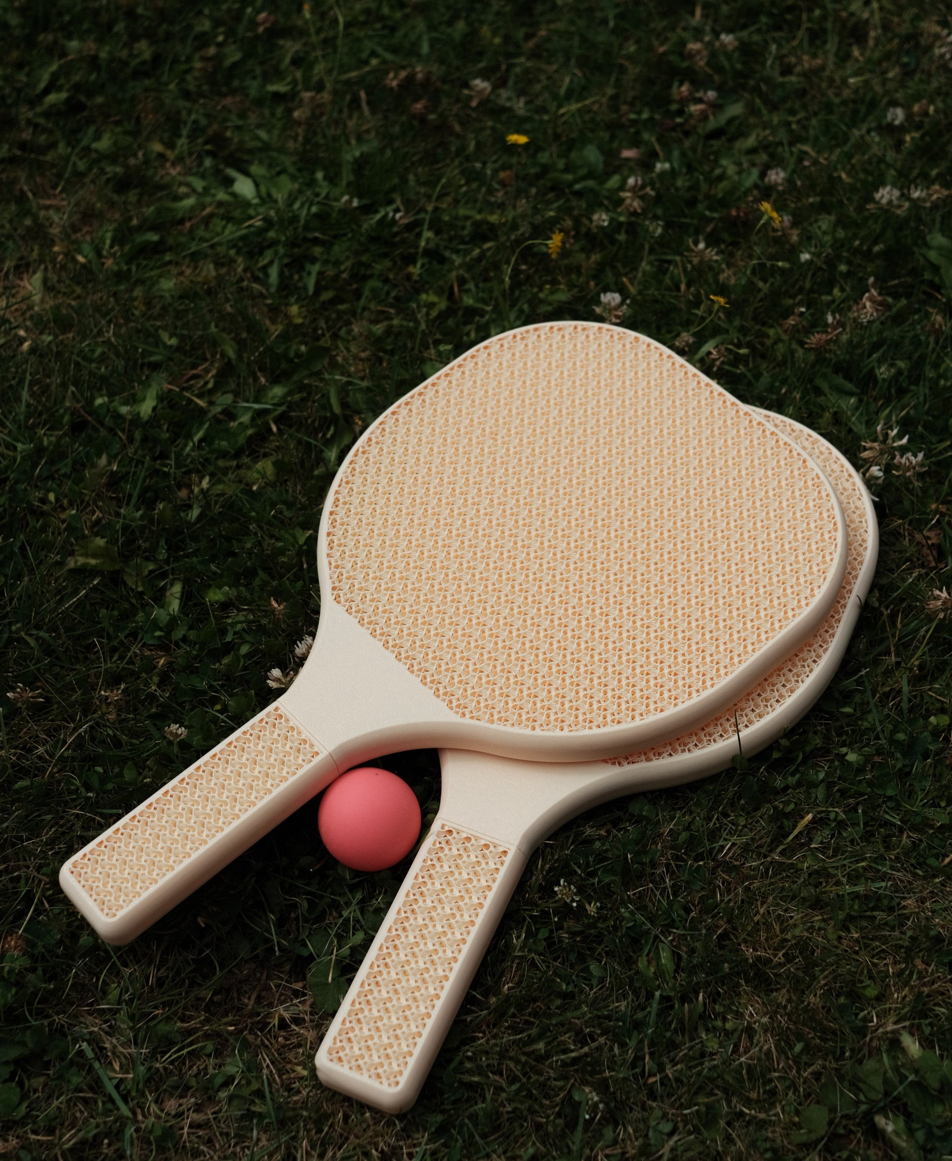 Beach Tennis Racket 3d model