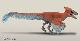 pyroraptor 3d model