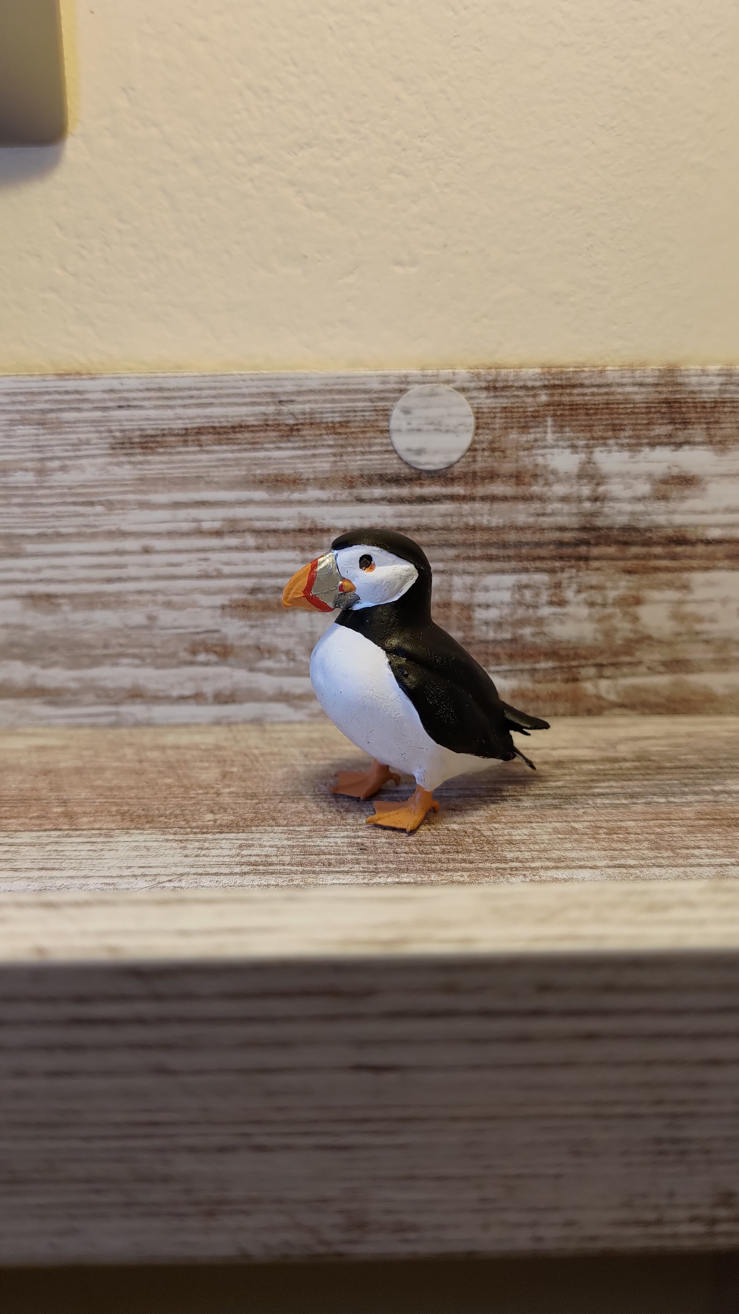 Puffin bird figure 3d model
