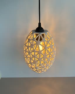OrganicDomeLamp 3d model