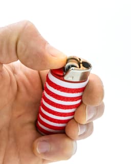 BIC Lighter Cover // WALDO 3d model