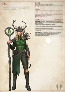 Druids - Level Up - Tabletop Miniatures (Pre-Supported) 3d model