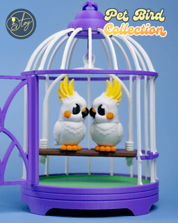 Pet Bird Collection 3d model