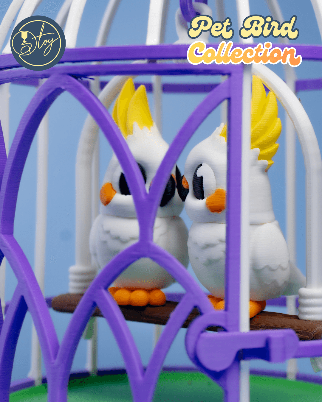 Pet Bird Collection 3d model