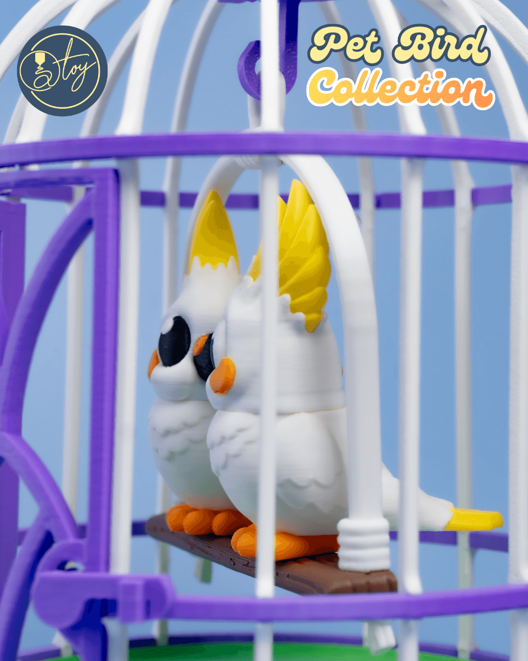 Pet Bird Collection 3d model