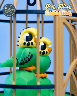 Pet Bird Collection 3d model