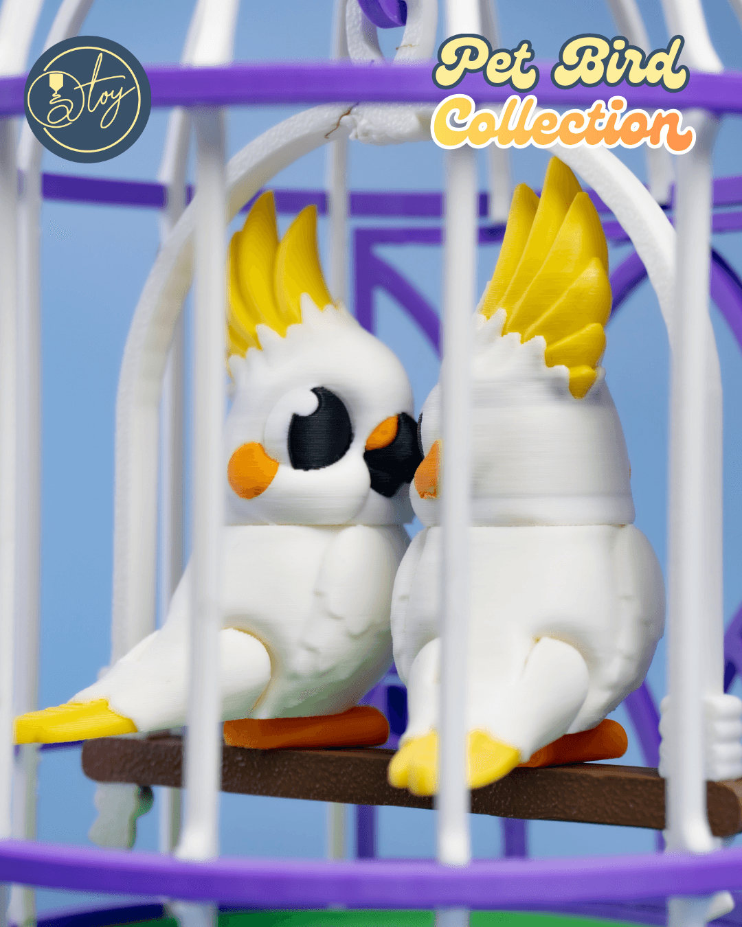 Pet Bird Collection 3d model