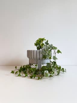 Plant Pot S: 3 Designs 3d model