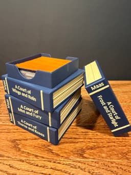 ACOTAR Inspired Book Deck Box 3d model